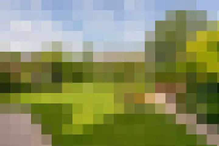 Plettenburg 1 B Nieuwegein thumbnail 23