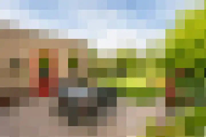Plettenburg 1 B Nieuwegein thumbnail 26