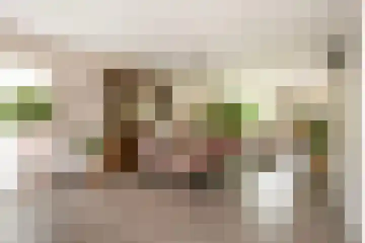 Plettenburg 1 B Nieuwegein thumbnail 8