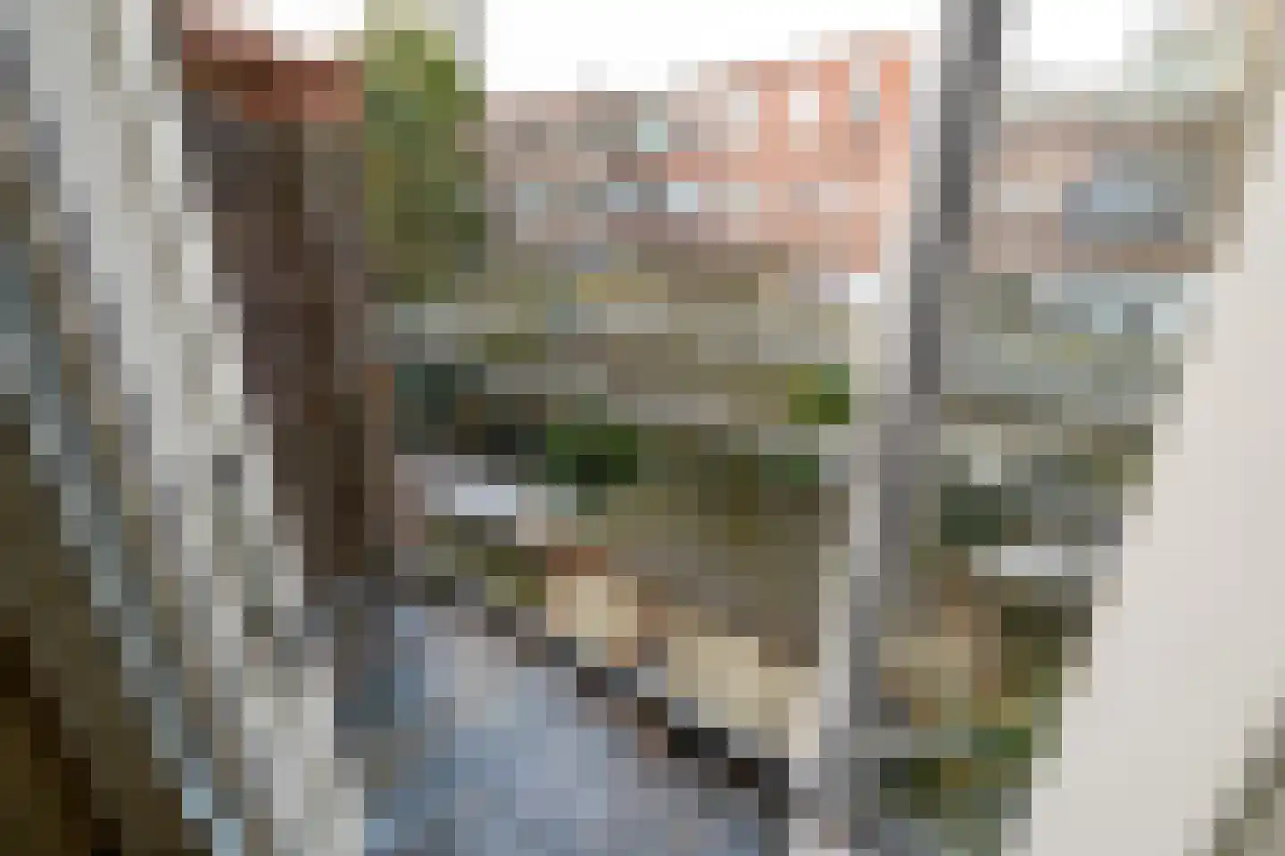 Pletterijstraat 35 Den Haag thumbnail 28