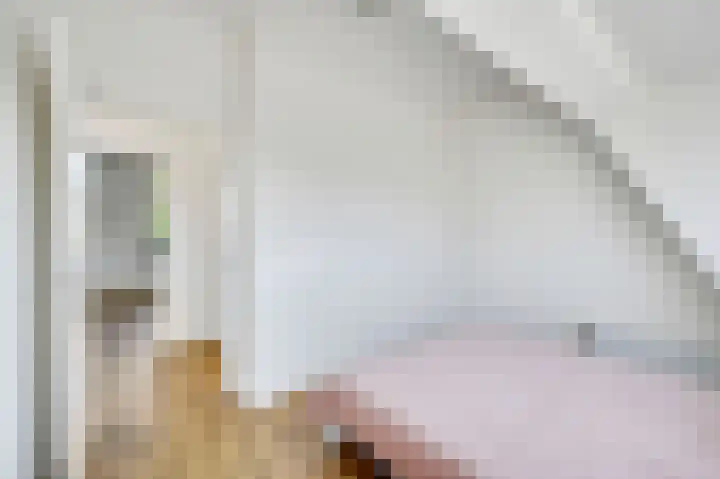 Pletterijstraat 9 A Den Haag thumbnail 19