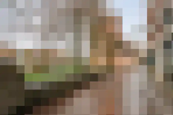 Pletterstraat 59 Zwolle thumbnail 46