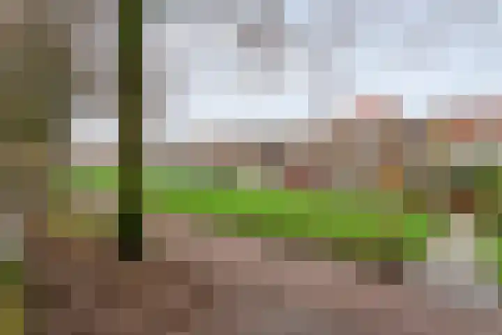 Pletterstraat 59 Zwolle thumbnail 47