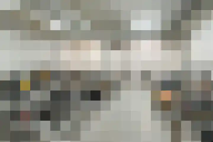 Pletterstraat 89 Zwolle thumbnail 29