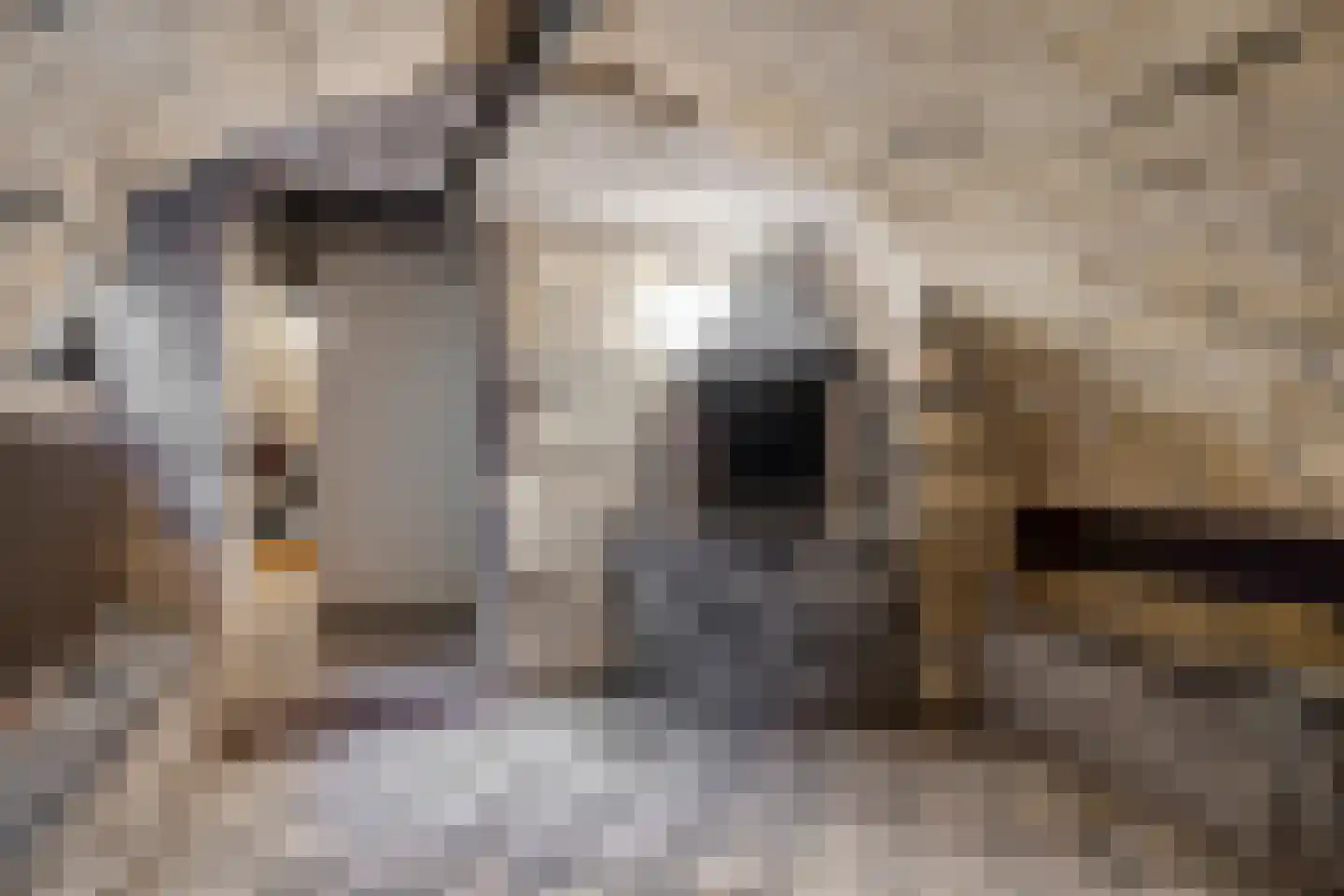 Pletzersstraat 15 Maastricht thumbnail 26