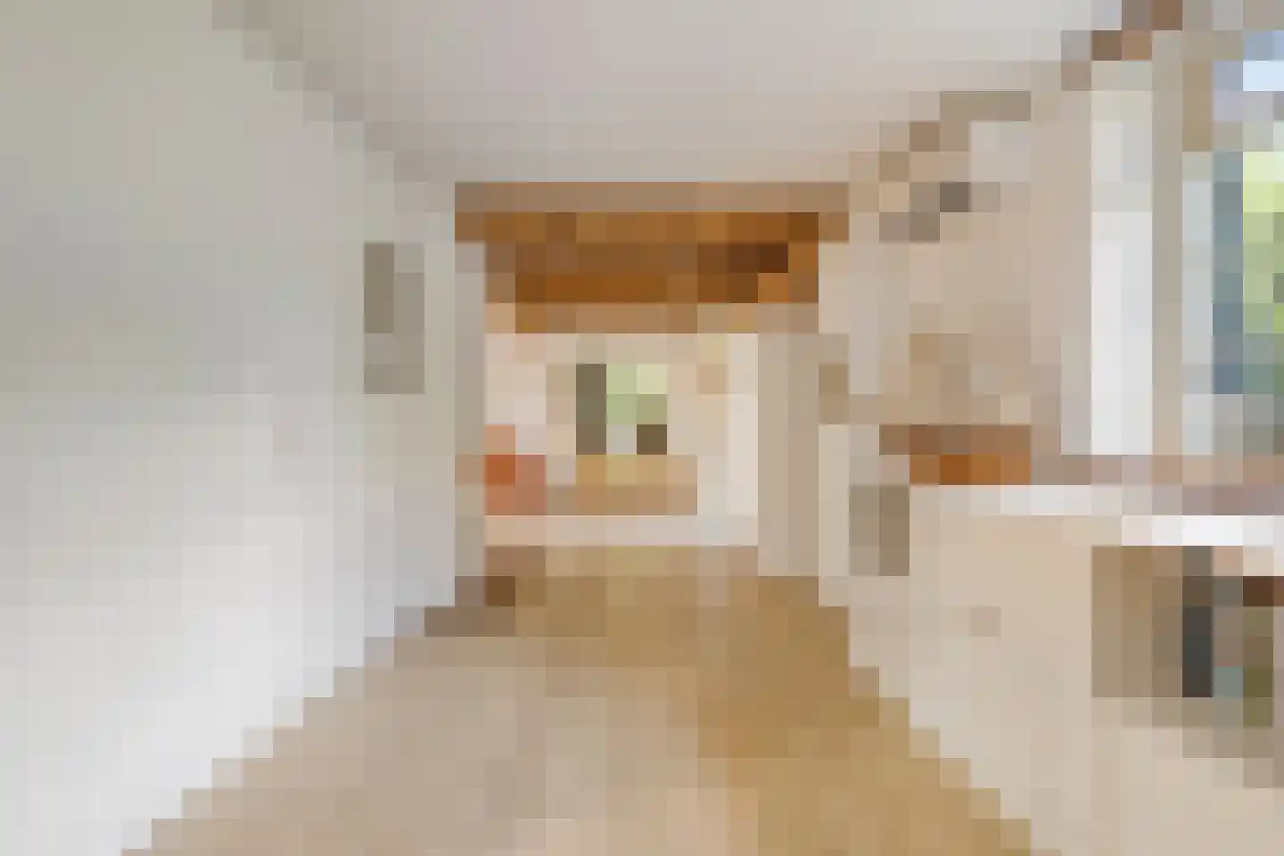 Pletzersstraat 15 Maastricht thumbnail 5
