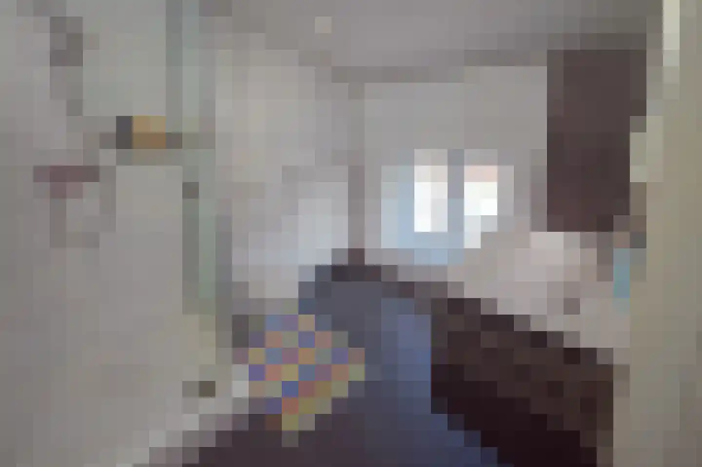 Pletzersstraat 20 Maastricht thumbnail 14
