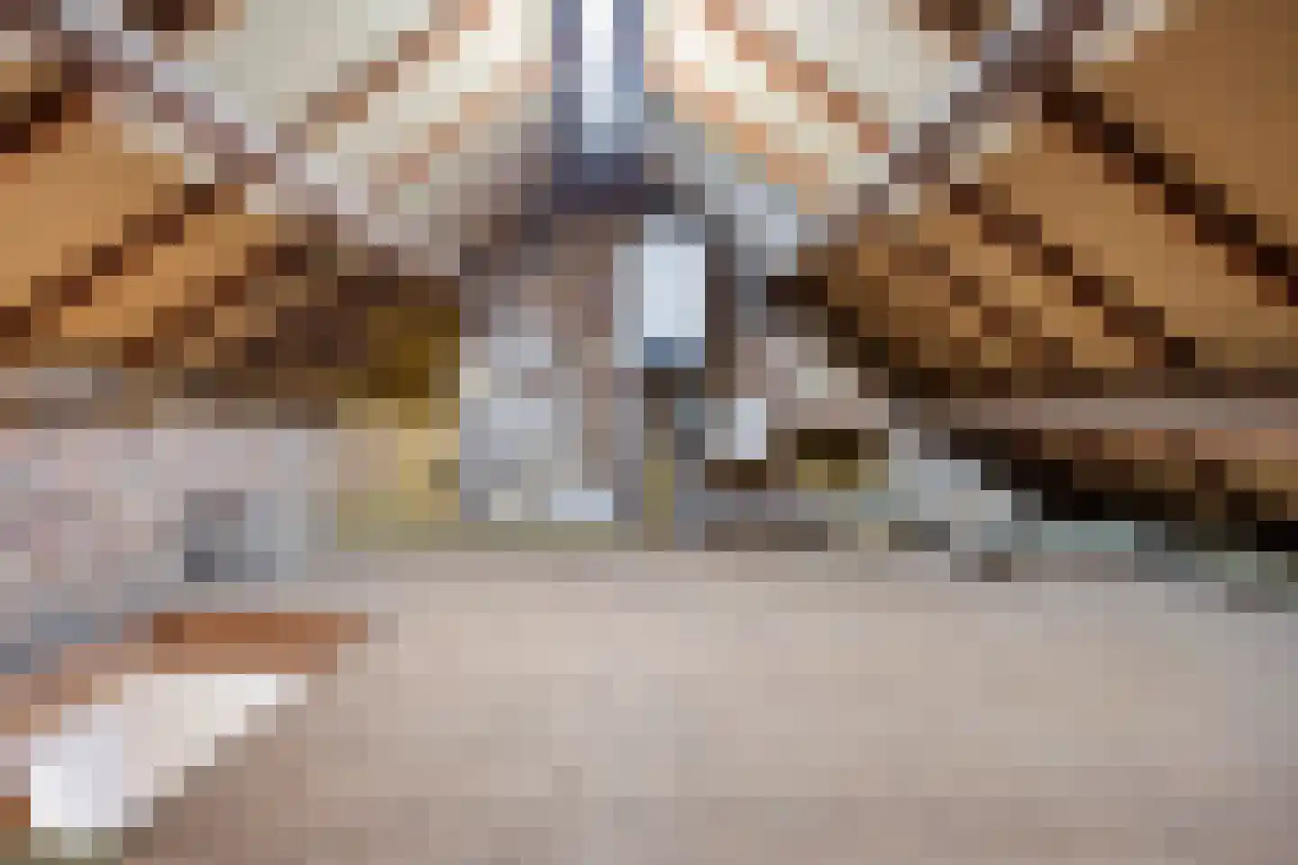 Pletzersstraat 35 Maastricht thumbnail 36