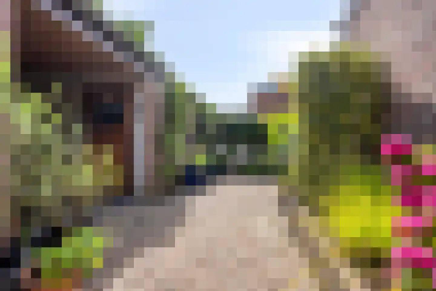 Pletzersstraat 35 Maastricht thumbnail 41