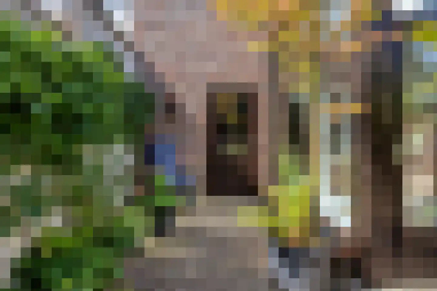 Pletzersstraat 35 Maastricht thumbnail 45