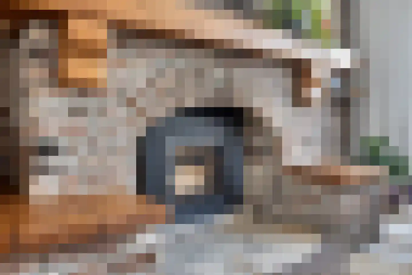 Pletzersstraat 35 Maastricht thumbnail 8
