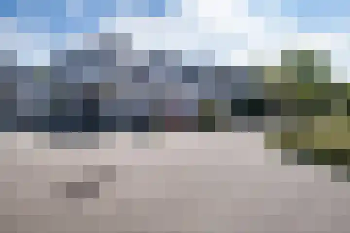 Plevier 104 Hoorn thumbnail 11