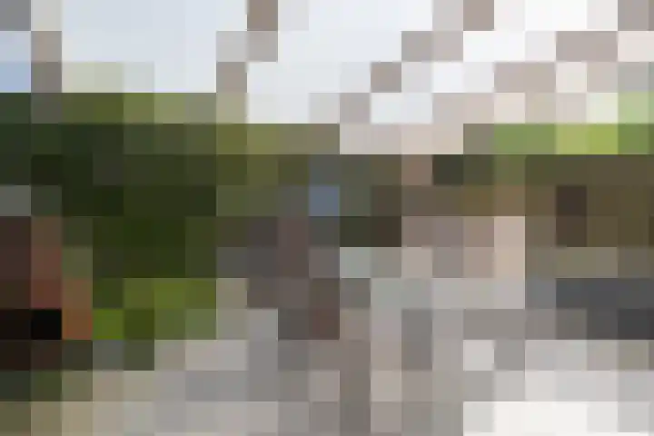 Plevier 104 Hoorn thumbnail 14