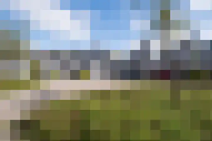 Plevier 104 Hoorn thumbnail 20