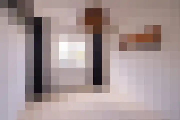 Plevier 104 Hoorn thumbnail 6