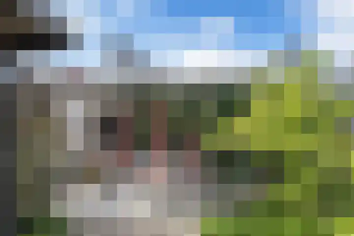 Plevier 104 Hoorn thumbnail 8