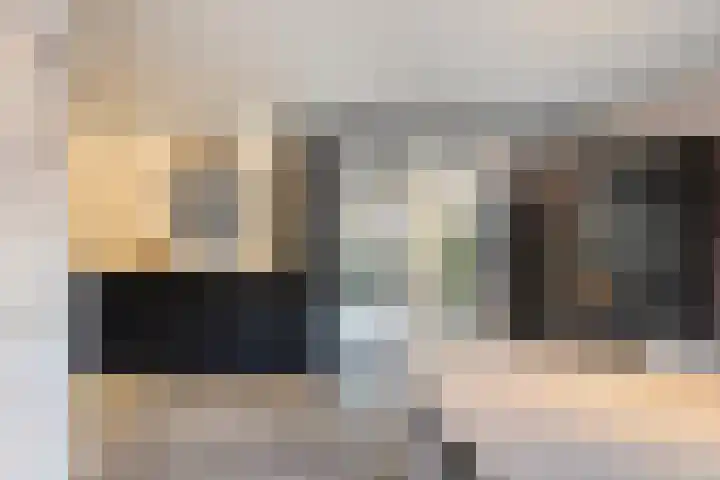 Plevier 127 Bunschoten-Spakenburg thumbnail 16