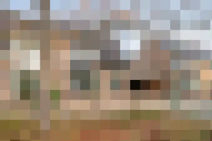 Plevier 127 Bunschoten-Spakenburg thumbnail 4