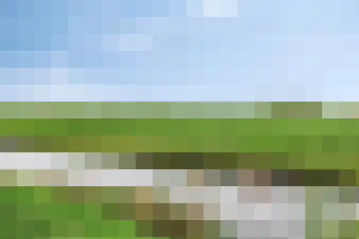 Plevier 127 Bunschoten-Spakenburg thumbnail 41