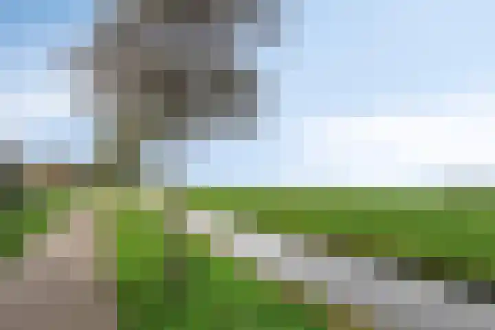 Plevier 127 Bunschoten-Spakenburg thumbnail 42