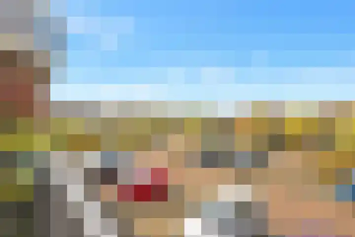 Plevier 13 Hoogkarspel thumbnail 13