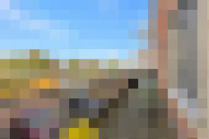 Plevier 13 Hoogkarspel thumbnail 14