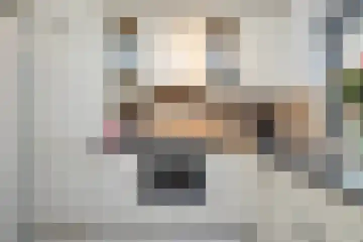 Plevier 13 Hoogkarspel thumbnail 16