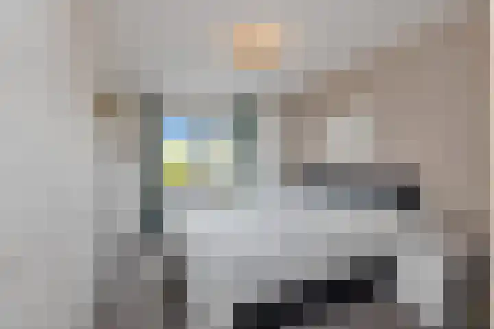 Plevier 13 Hoogkarspel thumbnail 17