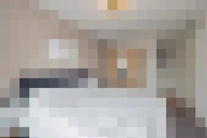 Plevier 13 Hoogkarspel thumbnail 18