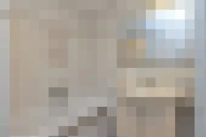Plevier 13 Hoogkarspel thumbnail 20