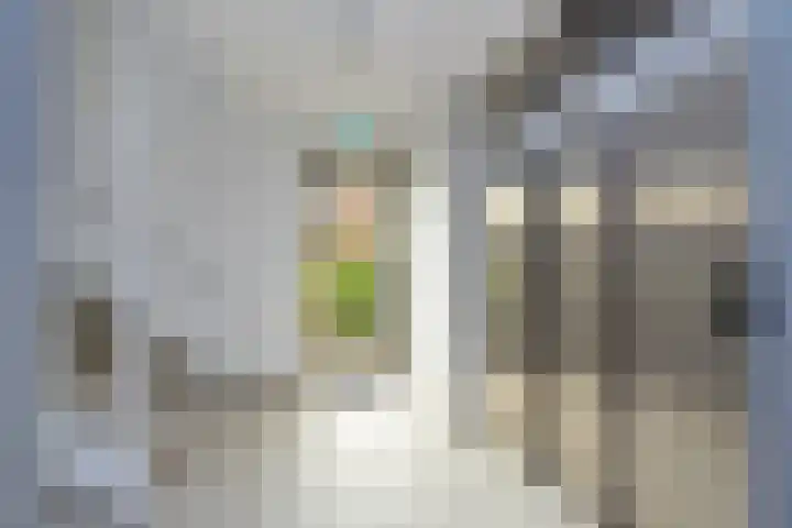 Plevier 13 Hoogkarspel thumbnail 23