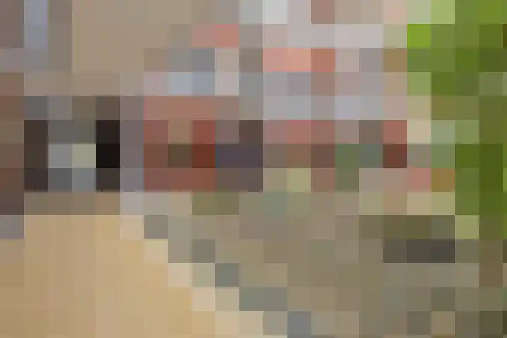 Plevier 13 Hoogkarspel thumbnail 24