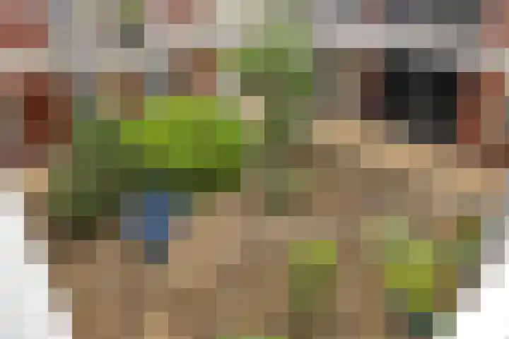 Plevier 13 Hoogkarspel thumbnail 26