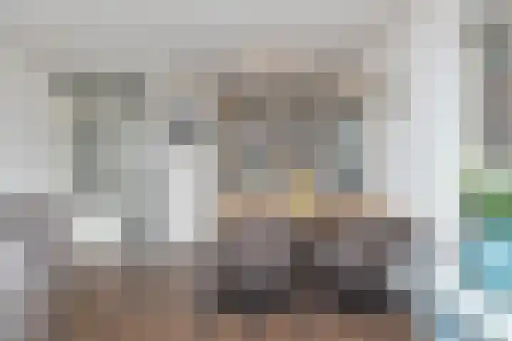 Plevier 13 Hoogkarspel thumbnail 9