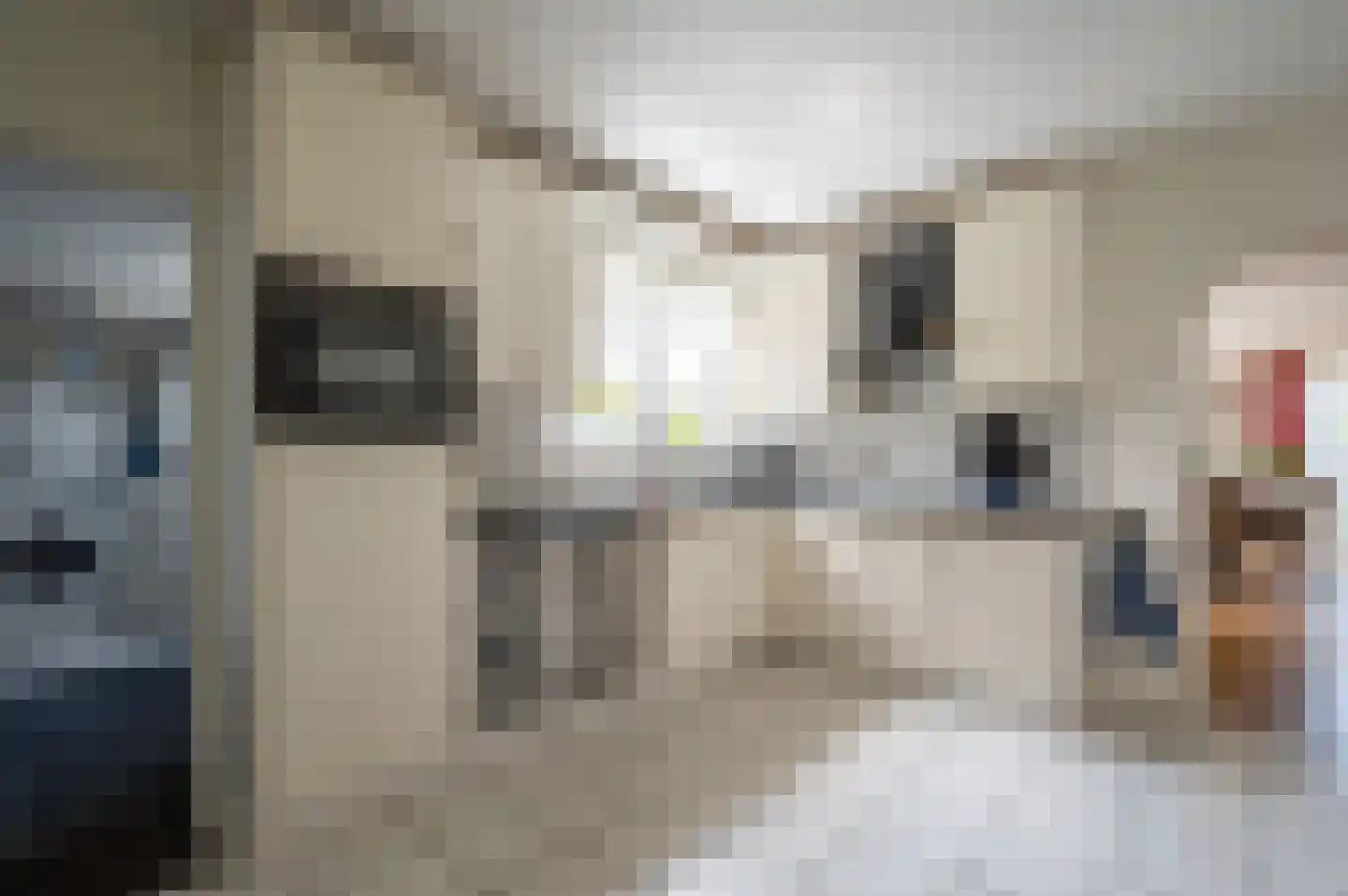 Plevier 17 Staphorst thumbnail 13