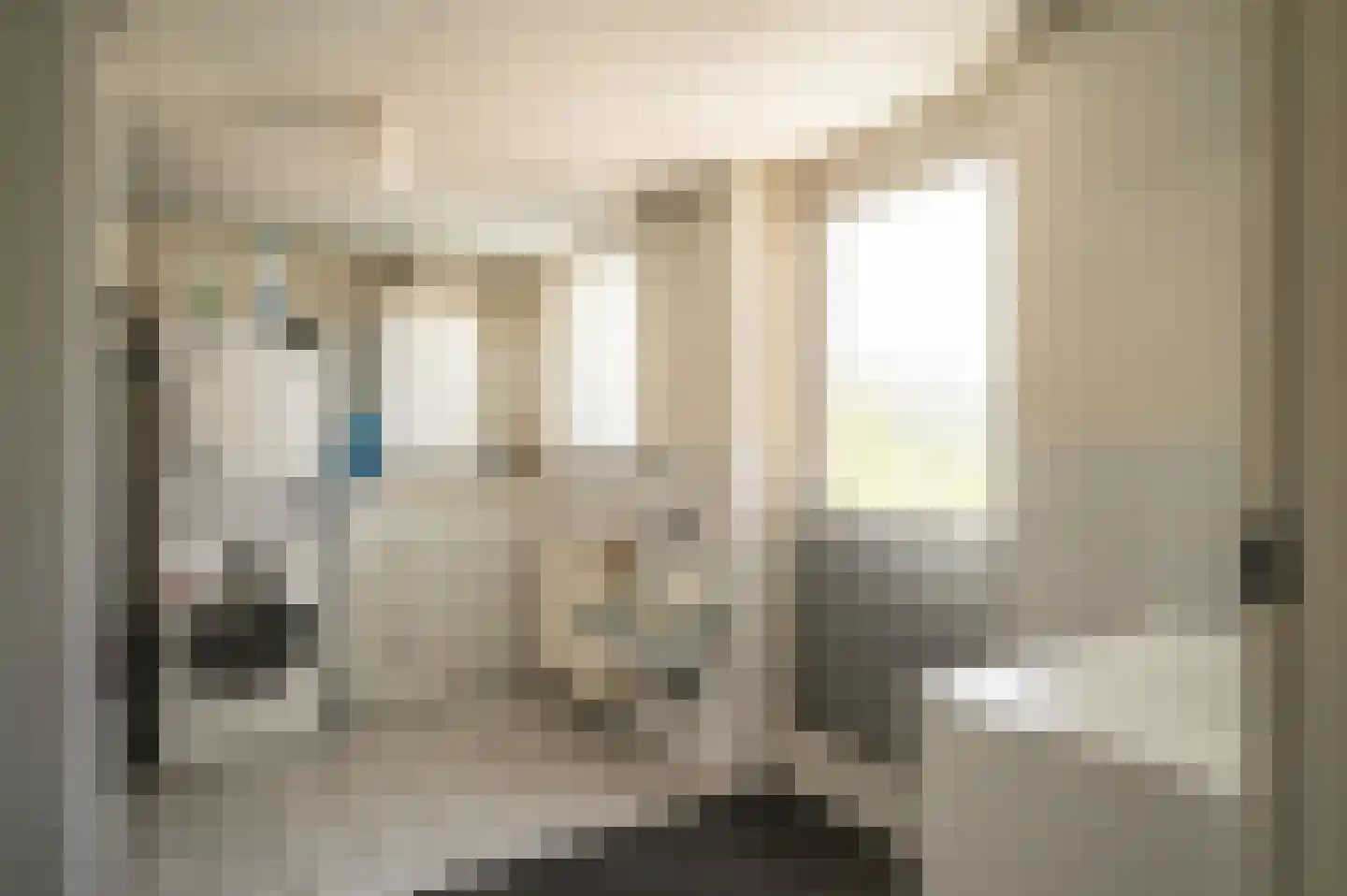 Plevier 17 Staphorst thumbnail 14