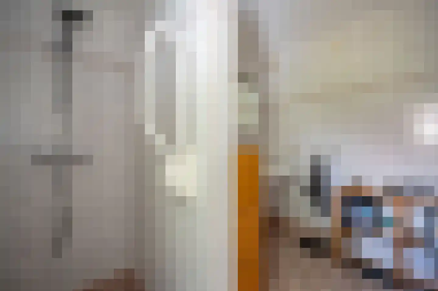 Plevier 17 Staphorst thumbnail 20