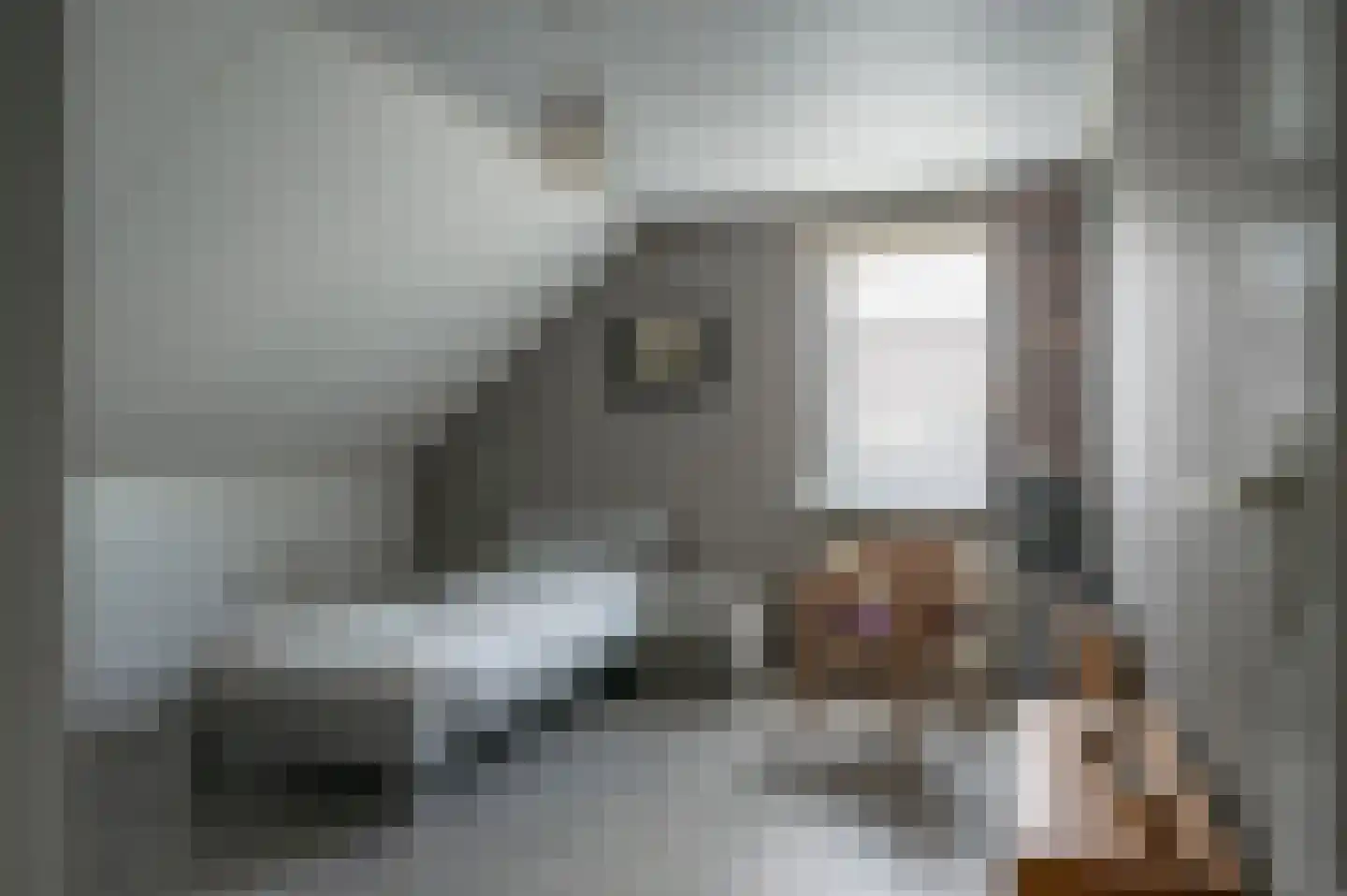 Plevier 17 Staphorst thumbnail 29