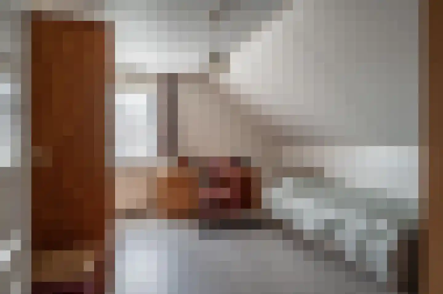 Plevier 17 Staphorst thumbnail 31