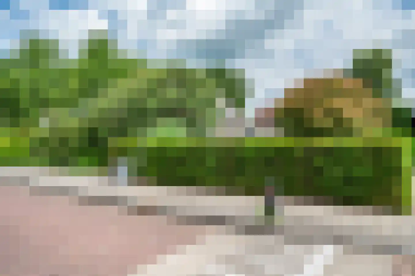 Plevier 17 Staphorst thumbnail 41