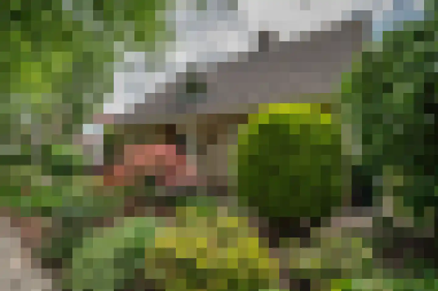 Plevier 17 Staphorst thumbnail 43