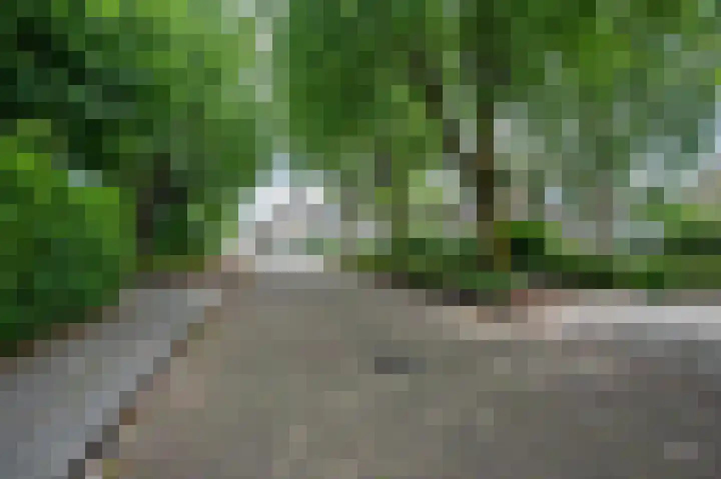 Plevier 17 Staphorst thumbnail 44