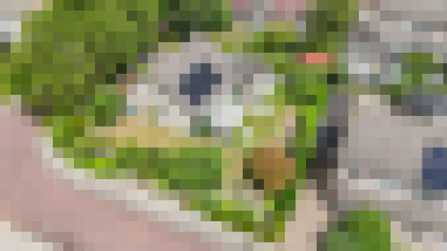 Plevier 17 Staphorst thumbnail 45