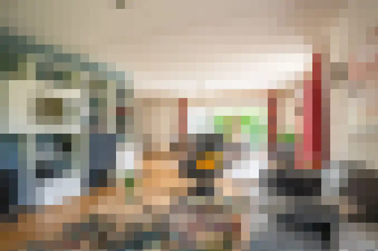 Plevier 17 Staphorst thumbnail 6