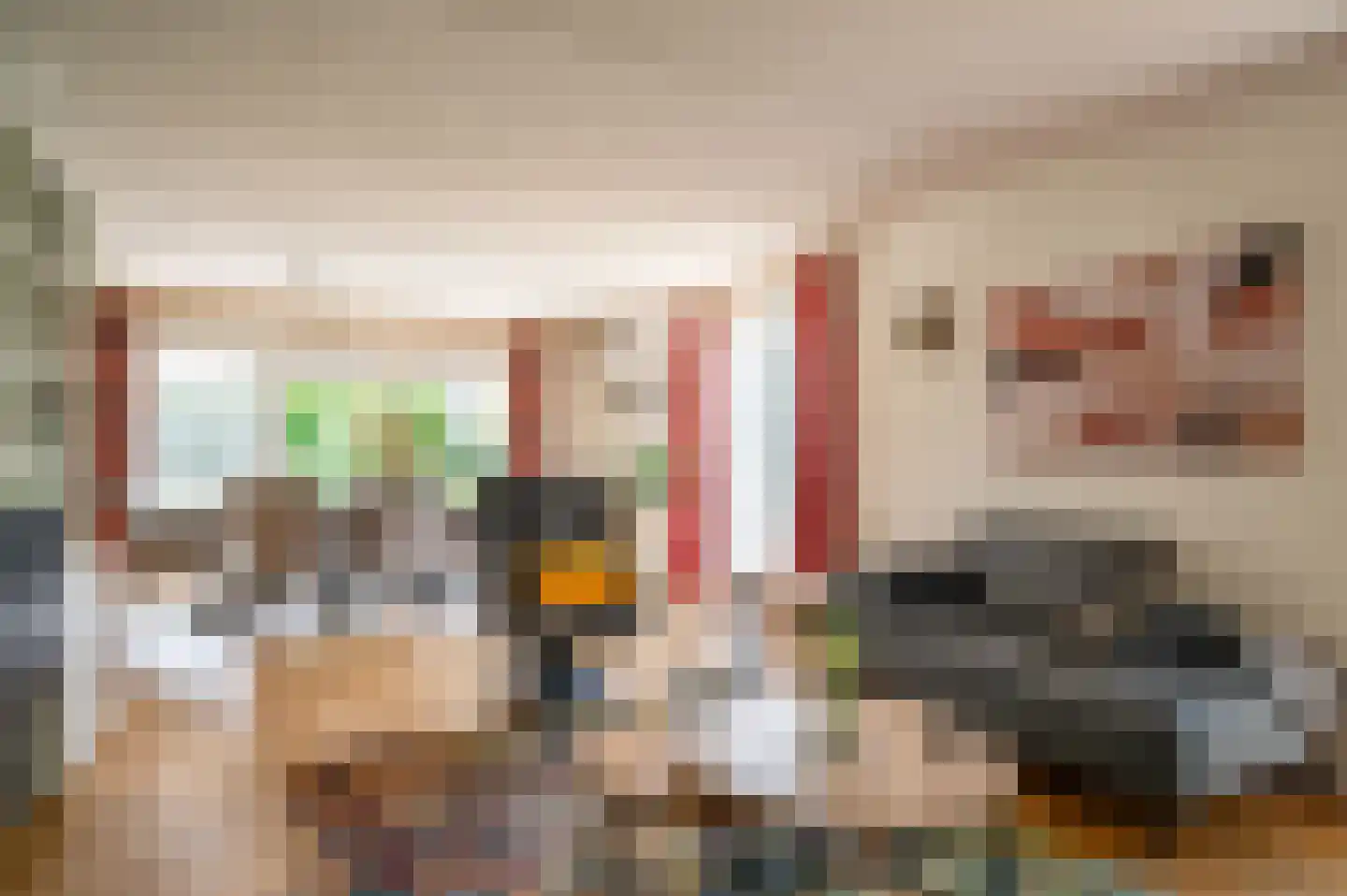 Plevier 17 Staphorst thumbnail 7