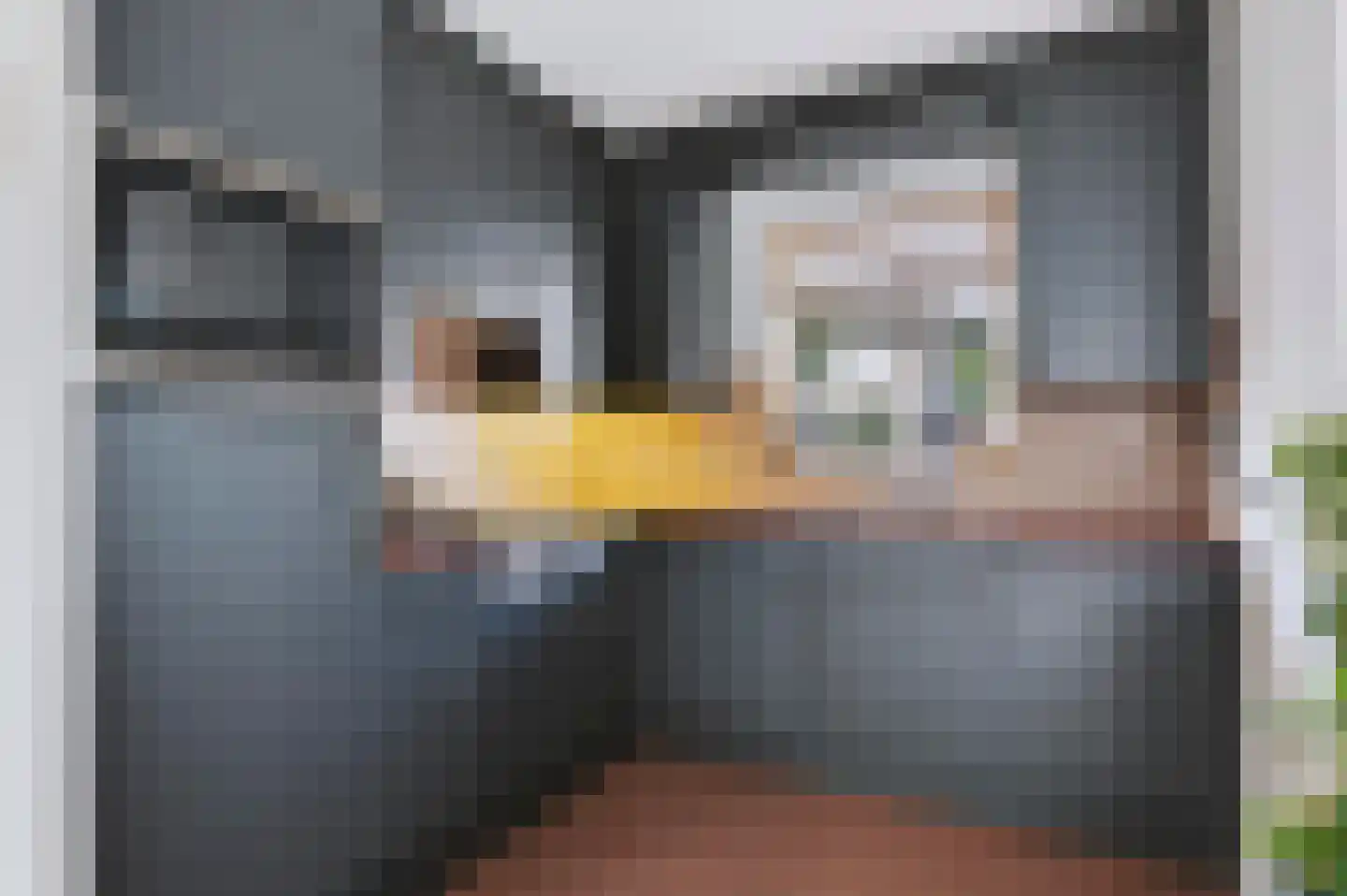 Plevier 17 Veldhoven thumbnail 10