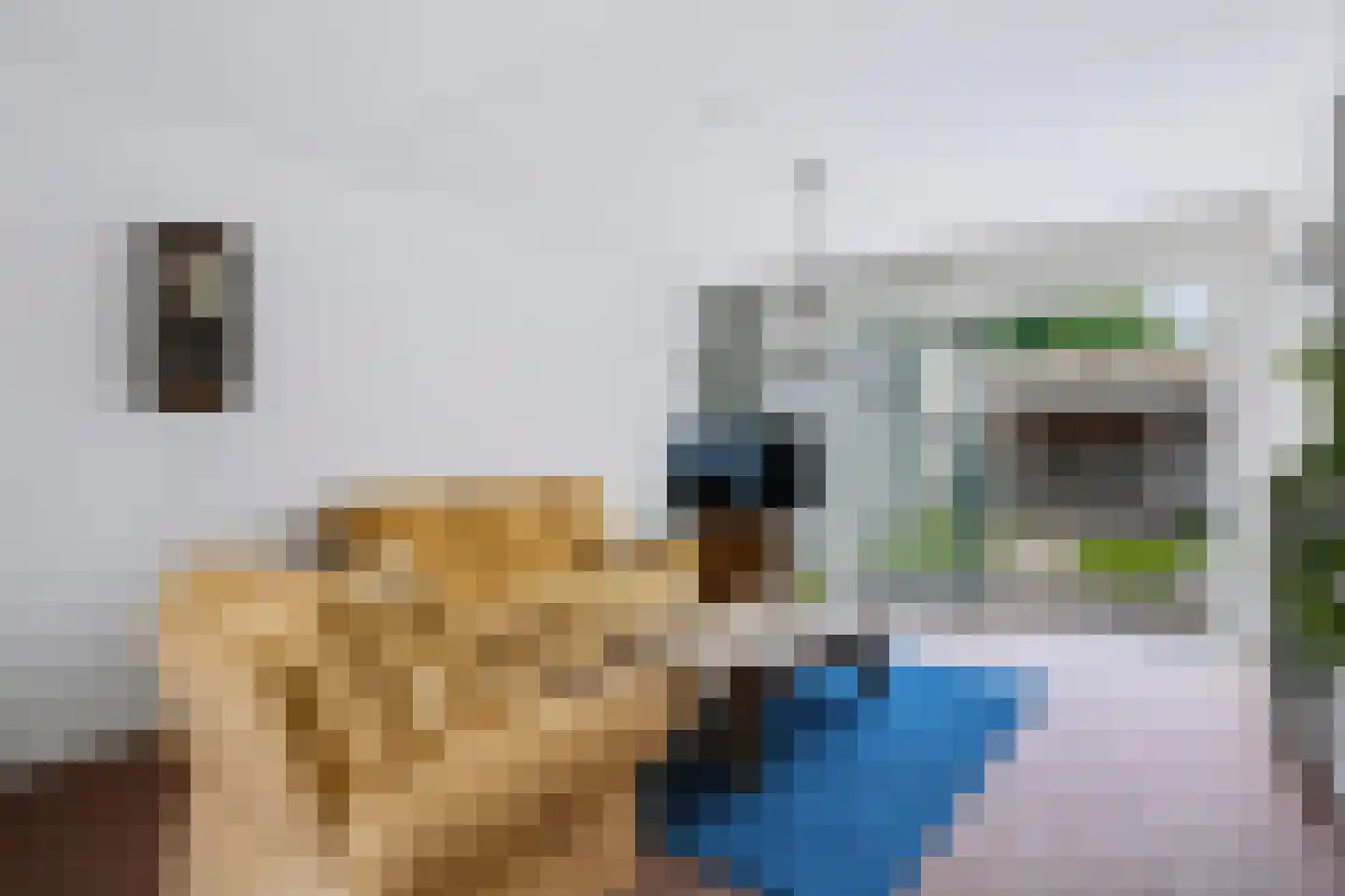 Plevier 17 Veldhoven thumbnail 5