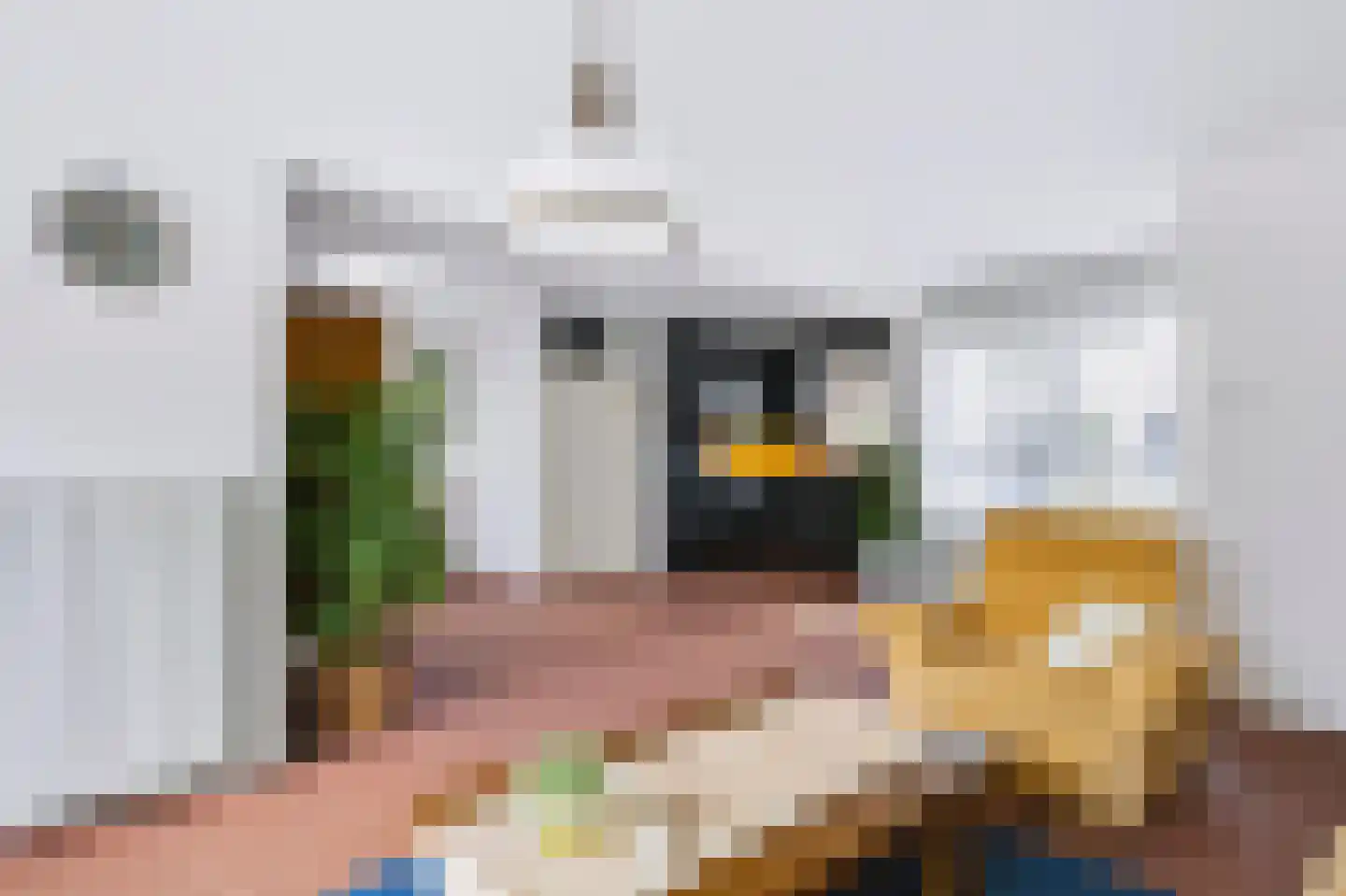 Plevier 17 Veldhoven thumbnail 7