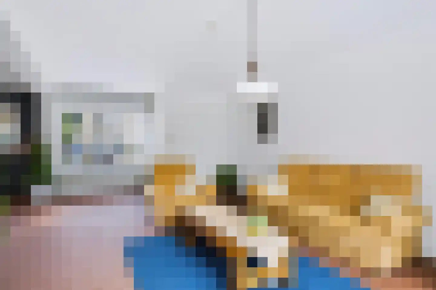 Plevier 17 Veldhoven thumbnail 8