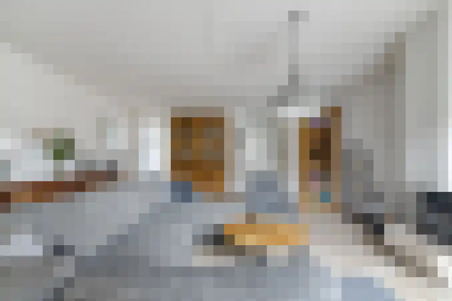 Plevier 18 Bunschoten-Spakenburg thumbnail 10